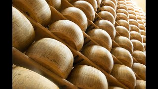 DalterFood Group - Our Parmigiano Reggiano Supply Chain