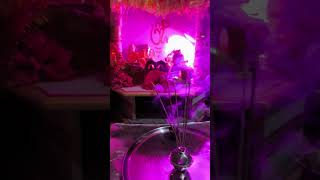 Navratri 2024 special puja#shortvideo