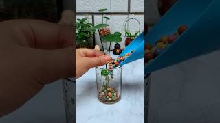 Flower planting grow in cup very beautiful  put at home #plants #flowers #shortvideo