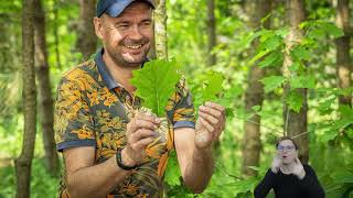 Leśna Polana Edukacyjna "Stacja Permakultura" [Educational Forest Glade "Permaculture Station"]