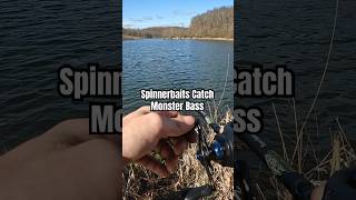 Spinnerbaits Catch Bigger Bass #shorts #fishing #bassfishing