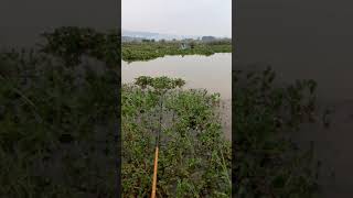 mancing di danau