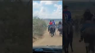 grupo de montaria chama na bota,São Diogo ,planaltino Bahia