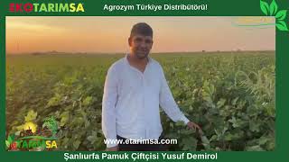 Şanlıurfa AGROZYM Pamuk Uygulaması Çiftçi Yusuf Demirol İle Röportaj