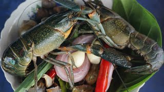 Yummy, steamed Australia crayfish, crap, snake, and snail by mixed cooking in one time