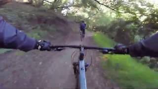 Hayward Plunge Trail - MTB - Top to Bottom