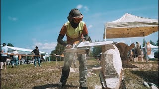 Open chainsaw carving competition in Pocyne 2017