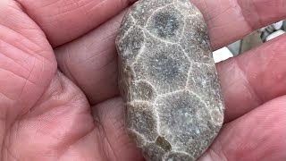 Collecting Petoskey Stones at Magnus Park in Petoskey, Michigan