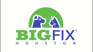 Big Fix Houston - An Annual Large Scale Spay, Neuter Event