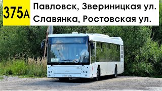 Автобус 375а "Павловск, Звериницкая ул. - Славянка, Ростовская ул."