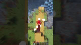 Warden killer (Bye Bye Bye) #minecraft #shorts #gaming