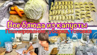 Готовлю несколько БЛЮД из КАПУСТЫ🥬Мотивация на уборку🧺ПЛАНИРОВАНИЕ ПРАЗДНИЧНОГО МЕНЮ🎂Мотивация💪