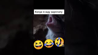 КОГДА Я ЖДУ Зарплату😂