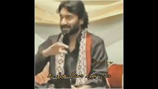 Hum Dekhengy||Nadeem Sarwar #status #qaseeda #islamic #shorts