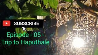 Episode - 05 - Weekend Dayout - Trip to Haputhale