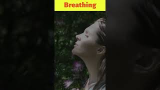 Did You Know That... Breathing #shorts