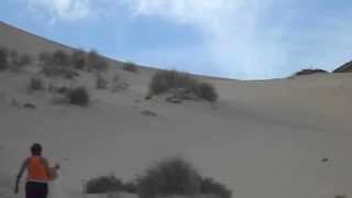 SandBoard the Dragon5