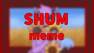 SHUM meme | denshaylar