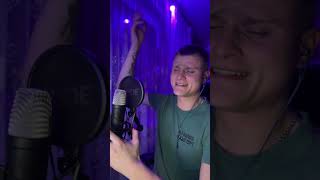 Загорулько Віталій - Марічка Cover