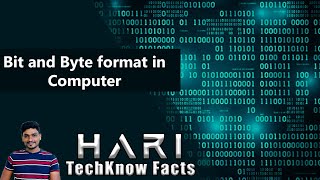 Bit and Byte Format in Computer