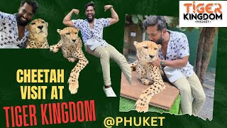 CHEETAH Encounter at Tiger Kingdom Phuket | I KISSED CHEETAH | COST 1300 baht | THAILAND | 2023