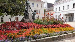 #flowers#park# Blumengruß aus der Erzherzog Straße, Leoben, Steiermark, Austria