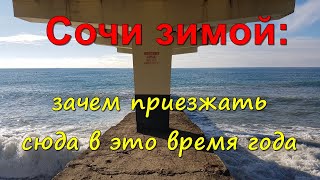 Отдых в Сочи зимой: почему стоит приехать на курорт в это время года