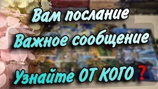 ✉️ВАМ СООБЩЕНИЕ и важное ПОСЛАНИЕ❗️От КОГО⁉️Чего касается❓