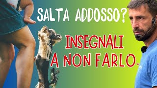 SALTA ADDOSSO? Insegnali a non farlo.