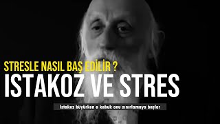 Stresle Nasıl Baş Edilir ve Strese Nasıl Yaklaşmalıyız ! Abraham Twerski - Istakoz