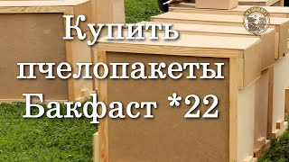 Купить пчелопакеты Бакфаст у пчеловода 2022