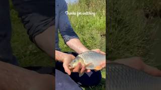 Rui fish catching #shorts #viral #trending #reels