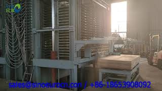 Labor-Saving Plywood Machine! automatic hot press machine with auto feeding and outputting system