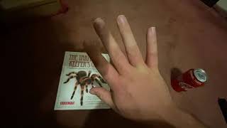 Tarantula Urticating Hairs - Itchy! Treatment