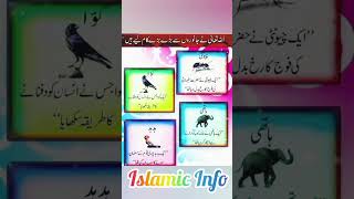 4 aise janwar Jin se ALLAH ne bare bare kam Laye #shorts #islamicfacts #islamquotes #shortvideo