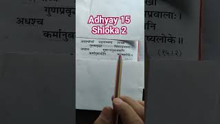 Adhyay 15 Shloka 2 Gita / Geeta Reading Made Easy #geeta #bhagwadgeeta #religion #hinduscripture