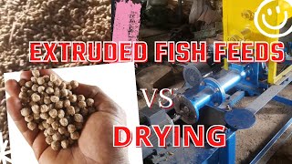 FISH FEEDS,EXTRUDER AND DRYING; WHAT YOU NEED TO KNOW AS A FISH FARMER/FEED-MILLER