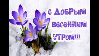 Весеннее доброе утро! Слайд шоу с приятными и добрыми словами,  пожеланием "Доброго весеннего утра"!