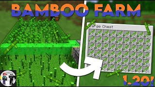 Minecraft Automatic bamboo farm - 1.20+ tutorial