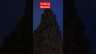 Freiburg germany #adventure  #short