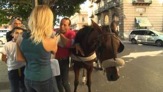 BABY PENSIONI IN SICILIA di FLAVIA MARIMPIETRI, Rai Uno 25 1 2013