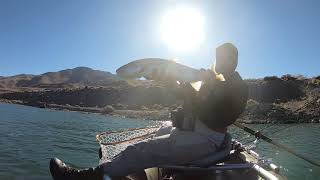 Catching BIG trout on the fly from the Water Master Bruin! Pyramid Lake Fly Fishing