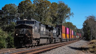 NS 18D, NS 28R, & NS 243 at Arcadia 10/18/24