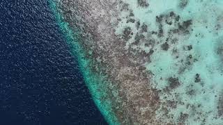 Amaging Free island   sea   Nature Stok Video    Copyright free    Aerial Drone Views    HD 13