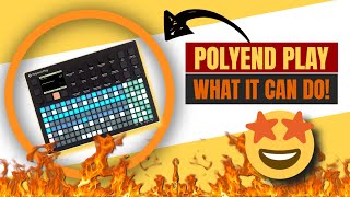 Polyend Play Review First Impressions