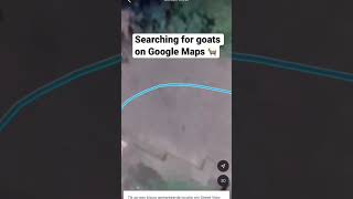 Searching For Goats On Google Maps *Watch Till End* #shorts #tiktok