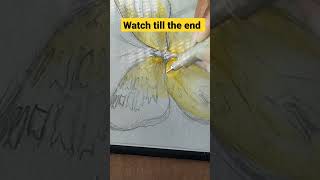 Watch till the end #butterfly #art #shorts #nature