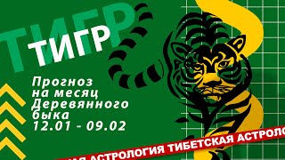 Прогноз на месяц деревянного быка для тигра. 12.01-09.02 2024