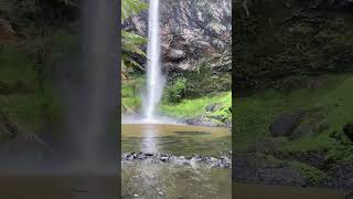 Bridal Veil Falls, New Zealand  #subscribe #fall #bridalveilfalls