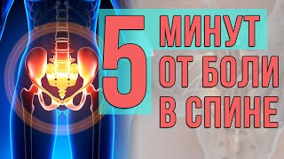 5 минут от боли в спине. Простое и эффективное упражнение.